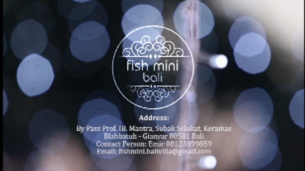 Fish Mini Villa Main image