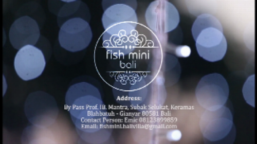 Fish Mini Villa image 2